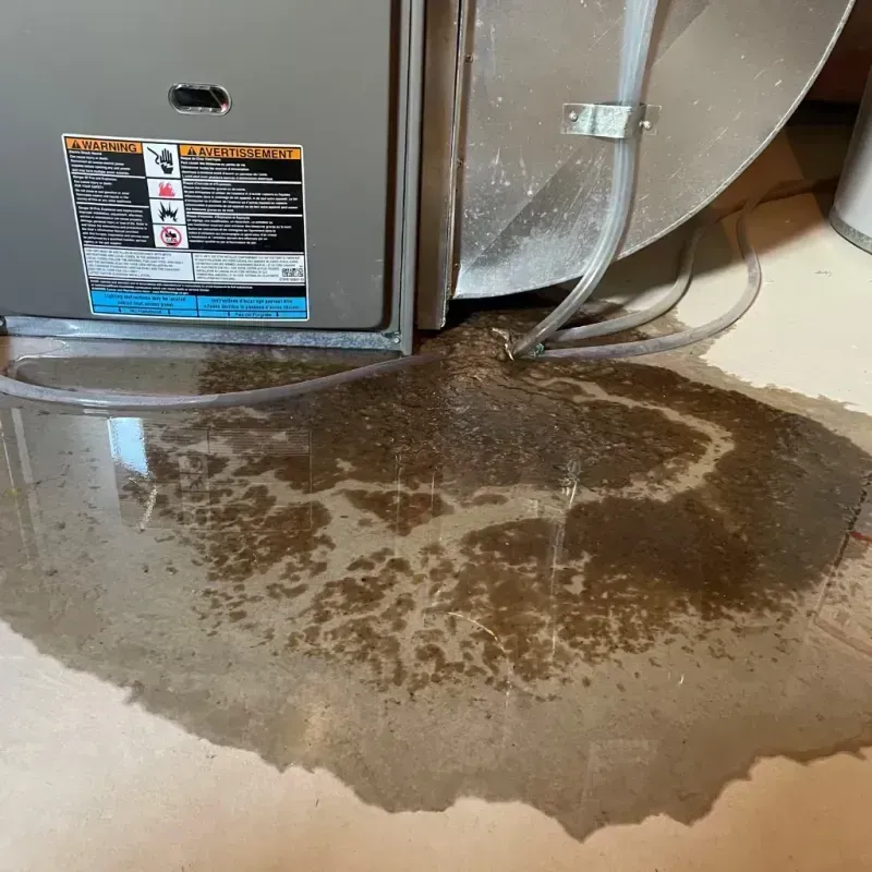 Appliance Leak Cleanup in Del Rey, CA